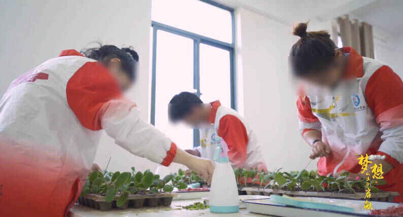 實訓實習