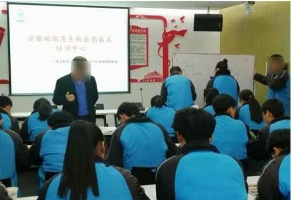 實訓實習