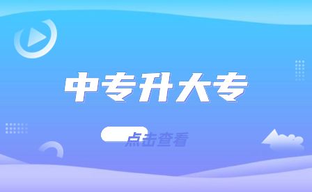 安徽中專學?？梢钥即髮?