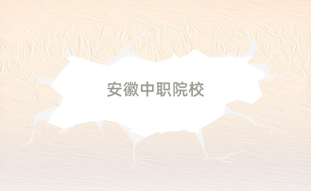 安徽中職學(xué)校有動(dòng)漫與游戲?qū)I(yè)對(duì)口高考嗎？