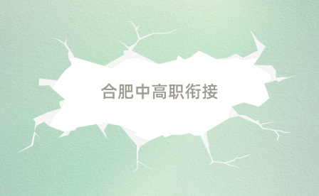 合肥中高職銜接人才培養方案是什么？