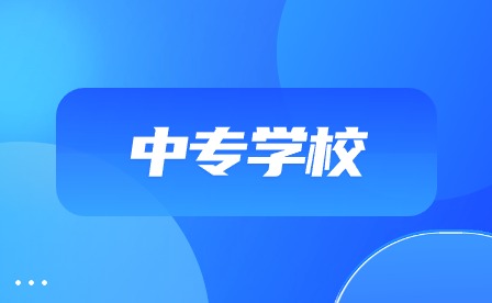 合肥中專學校有哪些有美術專業?