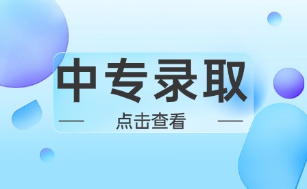 安徽中專學校網上錄取審核工作流程和要求是怎樣的？