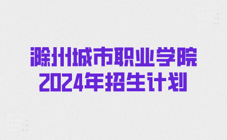 滁州城市職業學院2024年分類考試招生計劃