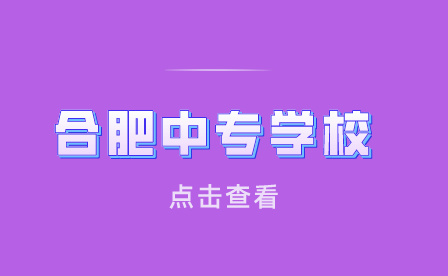 公辦合肥中專學(xué)校