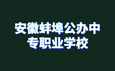 安徽蚌埠公辦中專職業學校有哪些?
