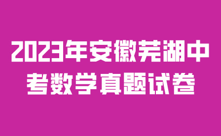 2023年安徽蕪湖中考數學真題試卷