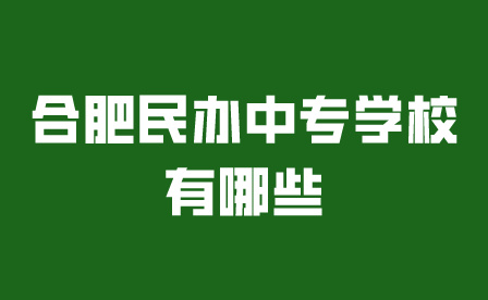 合肥民辦中專學(xué)校有哪些學(xué)校?