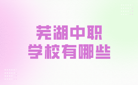 蕪湖中職學校有哪些學校？