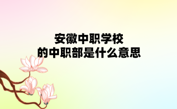 安徽中職學校的中職部是什么意思?