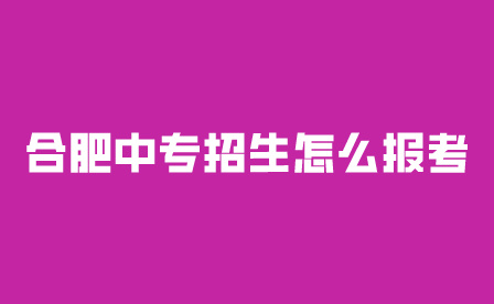 合肥中專招生怎么報(bào)考?