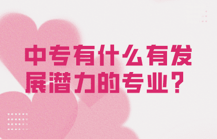 中專有什么有發展潛力的專業？