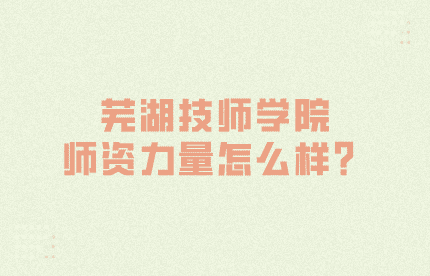蕪湖技師學院師資力量怎么樣？