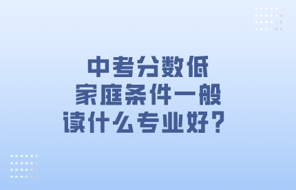 讀什么專業(yè)好
