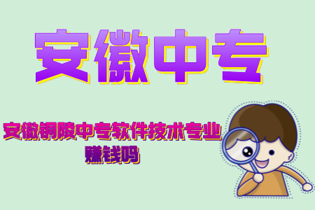 安徽銅陵中專軟件技術專業賺錢嗎