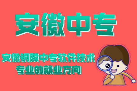 安徽銅陵中專軟件技術專業的就業方向