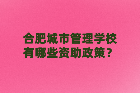 合肥城市管理學校有哪些資助政策？